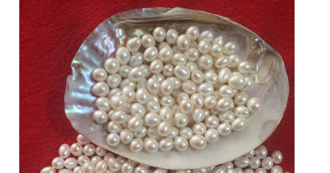 مروارید و خواص فیزیکی آن مروارید و خواص فیزیکی آن